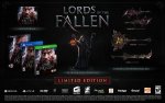 Lords_of_the_Fallen_LE-pc-games.jpg