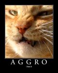 aggro-i-has-it.jpg